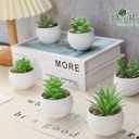 Der Rose Set of 6 Succulents Plants Artificial in Pots Small Fake Plants for Bedroom Aesthetic Living Room Shelf Bathroom Decor Office Desk Accessories
