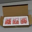 Resin Cute Succulent Business Card Holder for Desk, Stylish Desk Organizer, Vertical Display Stand for Office/Store/ Weddings/Tabletop, Unique Gift and Decor for Name Cards (3 Orange Packs)