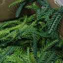 4 Pcs Artificial Norfolk Pine Garlands Christmas, 6 FT Dense Real Touch Winter Pine Garland Ornament, Green Artificial Greenery Garland for Table, Mantle, Wall, Indoor, Outdoor Christmas Decorations