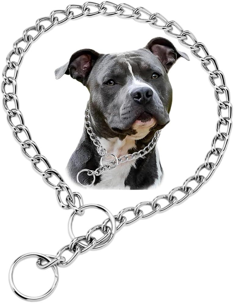 Chain Dog Collars for Medium Dogs, Heavy Duty Dog Necklace, for Training, Metal Slip Link Martingale Puppy Collar for XXS XS Small Large Big Dogs, Silver, M