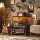 AV Media Stand with Outlets, Stereo Stands and Racks with Vinyl Storage, Stereo Stand with Record Storage, Audio Stereo Rack Cabinet, Turntable Console Stand with LED lights, 4 Tiers, Black Ebony