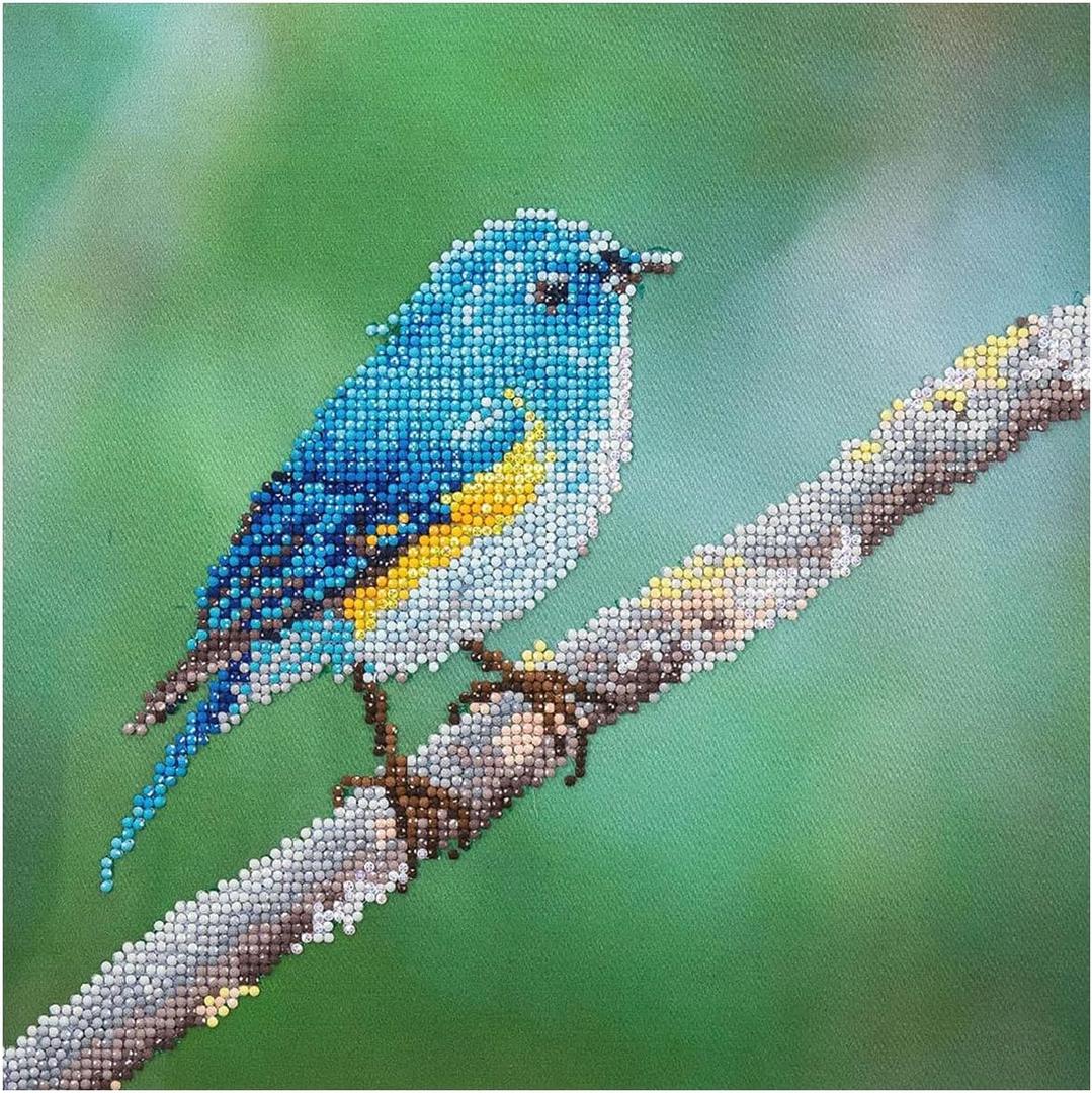 Diamond Art By Leisure Arts DMA Kit12x12 IntermediateBlue Bird