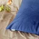 Artcest Set of 2, Cozy Solid Velvet Throw Pillow Case, Decorative Couch Cushion Cover, Soft Sofa Euro Sham with Zipper Hidden, 16"x16" (Royal Blue)