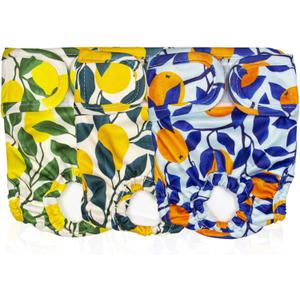 Pet Magasin Reusable Washable Dog Diapers (Pack of 3), Highly Absorbent with Strong & Flexible Hook & Loop (Botanical Fruit, M (14-19 Waist))