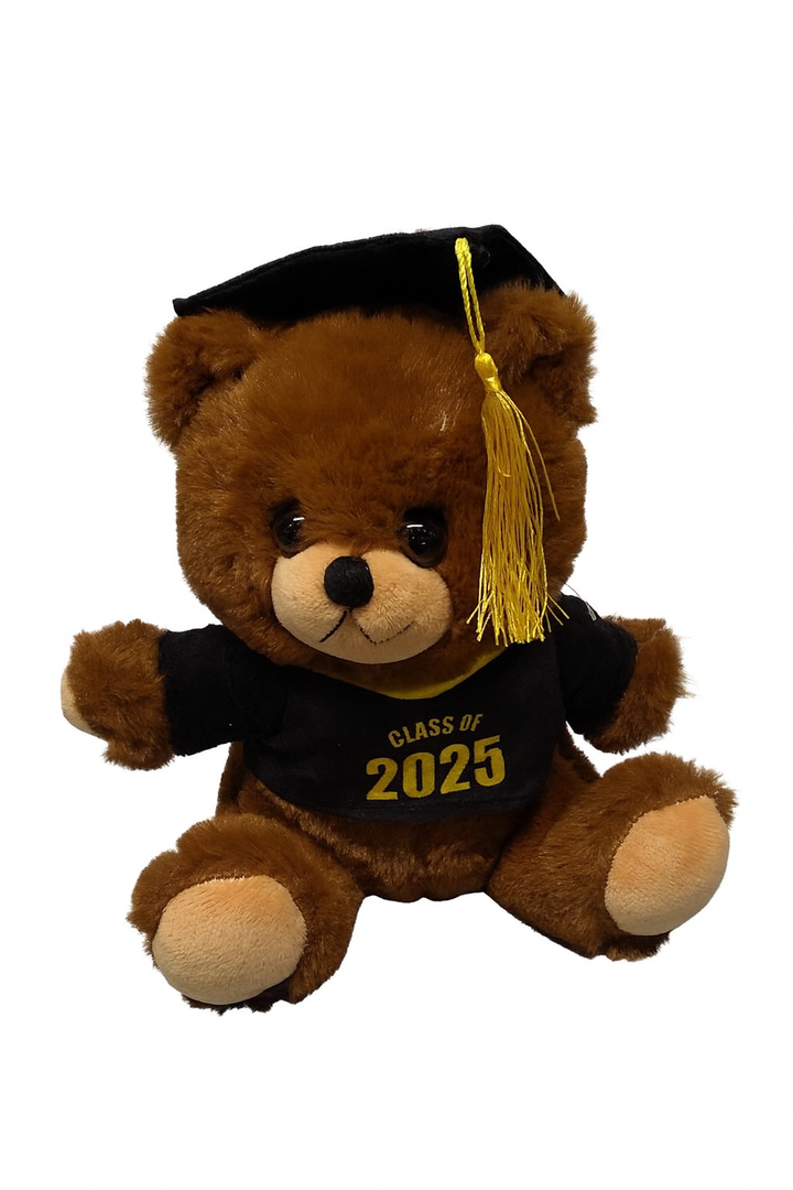Graduation Teddy Bear Gifts for Her, for Him, Class of 2025 Graduation