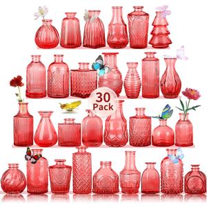 Glass Bud Vases Set of 30 pcs for Wedding,Home Decor,and Events,Mini Vases for Centerpieces and Gifts,Ideals for Candle Holders,Diffuse Bottles,Plant hydroponics Stations(Red)