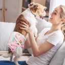 Pet Soft Female Dog Diapers, 3 Pack Washable Dog Diapers Female for Dogs in Heat Reusable Dogs Period Panties, Puppy Diapers (Animals, XS) (X-Small:7''-10'')