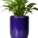 Ceramic Plant Pot - 8 Inch Planter for Indoor Plants Outdoor Flower Pot with Drainage Hole and Saucer Home Patio Office Decor Blue