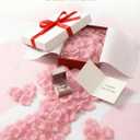 1000 Pcs Artificial Fake Rose Petals,Flower Petals for Romantic Night, Engagement, Party, Wedding, Event Flower Decorations, in Bulk(Pale Pink)