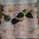 Ling's moment Artificial Flowers 9pcs Silk Dahlia 5.5"/4.5" Fake Flowers for DIY Wedding Craft Bouquets Centerpieces Arrangements Party Baby Shower Home Decorations (Blush)