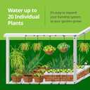 Raindrip R560DP Drip Watering System, Automatic Drip Irrigation System with Timer for Containers and Hanging Baskets, Waters up to 20 Plants, Includes 20 Drippers, Black