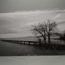 DZL Art S74975 Canvas Prints Modern Minimalist Black and White Lake Trees Landscape Wall Art Painting for Living Room Bedroom Decor Office Wall Decor Home Decoration (60"L x 30"W)