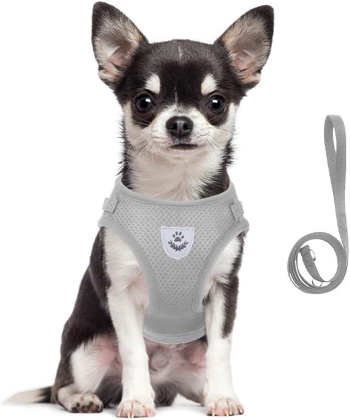 meioro Step in Dog Harness for Small Dogs and Leash Set, Adjustable No Pull Dog Harness Reflective Soft Mesh Puppy Harness Breathable Lightweight Pet Vest Harnesses for Small Dogs Cats(Grey, M)