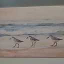 MDHFJEAW Boho Beach Bird Wall Art Coastal Sandpiper Canvas Wall Decor
Sandpiper Wall Art Boho Coastal Picture Gallery Wrapped Beach Bird Poster Print Artwork for Living Room Bathroom 12x16 In