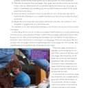 Ultimate Guide to Dog Training: Puppy Training to Advanced Techniques plus 25 Problem Behaviors Solved! (CompanionHouse Books) Manners, Housetraining, Tricks, and More, with Positive Reinforcement