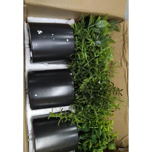 3 Pack Small Fake Plants for Shelf Decor Accents with Ceramic Pot Artificial Potted Plants for Rustic Farmhouse Decor Faux Plants Indoor Fake Potted Plants Artificial for Home Office Bookshelf Decor