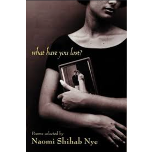 Book: What Have You Lost? (Paperback)