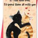 12 x Missonemi Cute Anniversary Card & Gifts for Women Men Husband Wife Boyfriend Girlfriend, Cats Valentines Day Card, Funny Valentines Day Gifts for Him Her