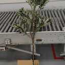 6ft Dense Leaves Artificial Olive Tree with Woven Basket - Realistic Faux Olive Tree for Living Room, Office & Home Decor - Large&Tall Indoor Floor PlantAesthetic Silk Plants