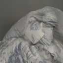 Cotton Comforter Queen Size Set  Light Grey Blue Botanical Floral Bedding, Soft & Breathable, All-Season Down-Alternative Fill, Includes 1 Comforter & 2 Pillow Shams