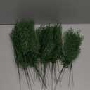 Hananona 40 Pcs Artificial Cedar Picks Faux Cedar Branches Fake Cypress Stems Plastic Pine Greenery Christmas Picks and Sprays DIY Accessories for Crafts Wreath Holiday Home Decor (40, Green)