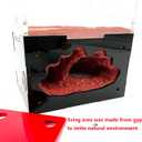 Ant Farm&Nest,House, Nest for ant Farm, Behavior Study House, Small Ant House.