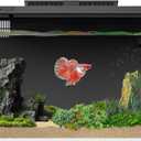 ERAARK 4 Gallon Betta Fish Tank,Smart APP Control Aquarium with Filter,Light,Water Pump,Self Cleaning