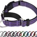 Martingale Dog Collar, Adjustable Nylon Reflective Collar with Quick Release Buckle (Purple, Extra Large)