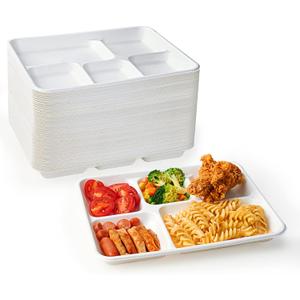 ECOLipak 100% Compostable 5 Compartment Plates, 125 Pack Disposable Paper Plates, Heavy-Duty Biodegradable Sugarcane Plates, Eco-Friendly School Lunch Trays (10.25*8.25 inch)