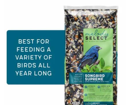 Morning Song 14062 Songbird Supreme Flavor Wild Bird Food, 8 LB 8 Pounds Sell By 08-22-25
