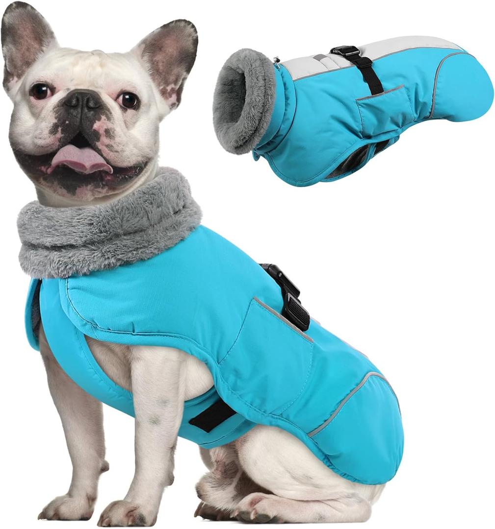 Queenmore Winter Dog Jackets, Dog Coats for Small Puppy, Warm Reflective Winter Dogs Coat, Waterproof Fall Pet Coats, Blue, S