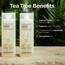 2 x GIOVANNI Tea Tree Triple Treat Invigorating Shampoo - Cooling Peppermint, Eucalyptus & Rosemary, Helps Strengthen & Rejuvenate Hair & Scalp, Salon Quality, Paraben Free, Tea Tree Shampoo - 8.5 oz