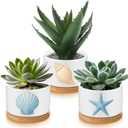3 Pcs Decor Gift for Women Planter Ceramic Gift Animal Plant Pot with Bamboo Tray for Office Home Farm House Bathroom Kitchen Christmas Decorations (No Plants Included)(Ocean)