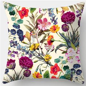 Decorative Throw Pillow Covers Hold Pillow 18 x 18 Inches Peach Skin Velvet Square Cushion Cases Set of 2 (Floral #2)