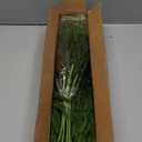 YXZZWL 16 Pcs Christmas Norfolk Pine Branches, 18 Inch Real Touch Artificial Norfolk Pine Branch Faux Cedar Pine Stem Fake Greenery Picks for Vase DIY Garland Wreath Home Decoration