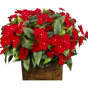 8 Pcs Artificial Impatiens Flowers for Outdoors Faux Impatiens Bushes Red Silk Flowers Greenery Artificial Impatiens for Outdoors Patio Lawn Garden Balcony Pot Hanging Basket Porch Decoration