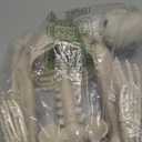 5.4Ft Posable Skeleton Halloween Decorations Outdoor, Plastic Life Size Skeleton with Movable Joints for Graveyard Prop, Halloween Toys Indoor Outdoor Haunted House Party Decor (White)