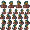 Hollowfly 24 Pcs Mallard Rubber Duck 2 Inch 4 Styles Party Supplies Nature Rubber Ducky Adorable Duck Party Supplies for Birthday Gift Shower Birds Lovers Hunting Decoration