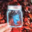 Olicard Window Suncatcher Sticker Indoor Rainbow Prism Window Film Bedroom Decoration, Anti Collision Window Decals for Bird Strikes, Sun Catchers Window Decals, Window Rainbow Maker for Home Decor (Devil Rays)
