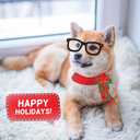 LEVSUPTY 44Pcs Christmas Party Photo Booth with Stick Props Kit for Adults Kids for Christmas Theme Party Favors Decorations Decor Supplies,Funny Xmas Selfie Props