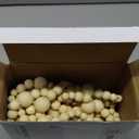 Boao 20 Feet Christmas Wooden Beads Garland Beige Christmas Tree Garland Wall Hanging Prayer Beads for Holiday Home Rustic Farmhouse Natural Boho Decor