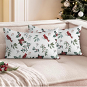 DJY Christmas Pillowcases Standard Size 20''x28'' Cardinal Bird Holly Mistletoe Poinsettia Throw Pillow Cover Set of 2 for Sofa Bed Couch Indoor Xmas Holiday Pillowcases Festival Decoration
