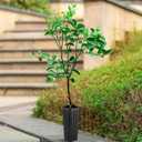 DOITOOL 50Pcs Plastic Deep Plant Nursery Pots, 11.2" Tall Tree Pot Black Seedling Treepots Flower Plant Container with Drainage Holes for Indoor Outdoor Gardening (11.2" H X 3" W)