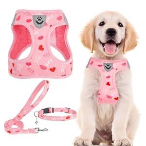 PUPTECK Adjustable Dog Harness Collar and Leash Set Step in No Pull Pet Harness for Dogs Puppy and Cats Outdoor Walking Running, Soft Mesh Padded Reflective Vest Pink Red Heart Harnesses Medium