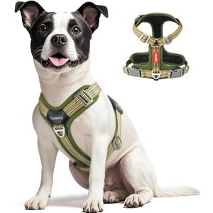 No Pull Dog Harness - Adjustable Reflective Dog Vest with Metal Snap, Soft Breathable Mesh No Choke Puppy Harness, Easy to Put on & Take Off (Green-M)
