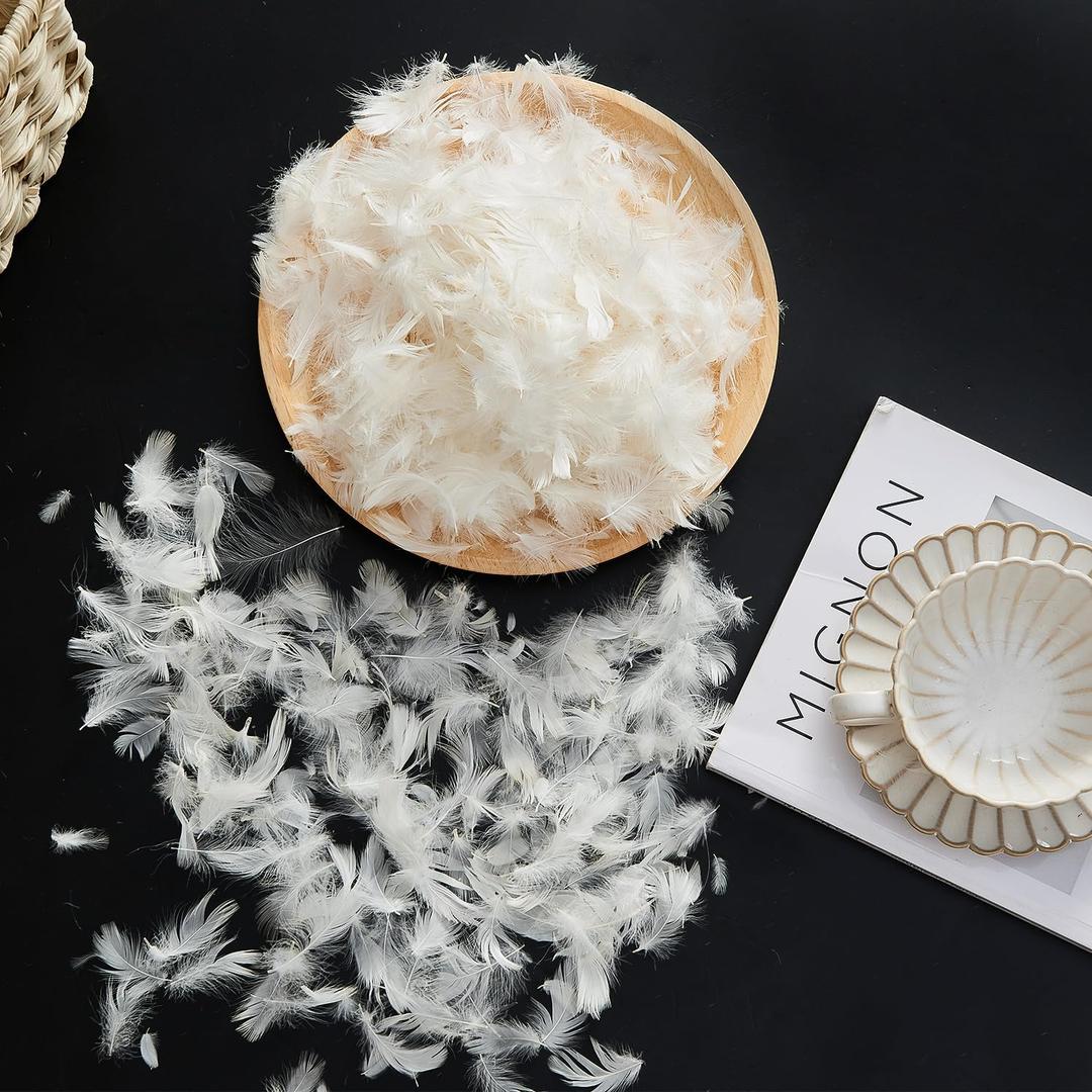 ROSE FEATHER Bulk Goose Down Feather Stuffing & Fill – Hypoallergenic Pillow Filling, Repair, Restuff, Fluff for Couch Cushions, Comforters, Jackets10/ 90-2Lb DIY