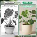 Climbing Plant Stem Support, Metal Gold Plant Stem Holders, Monstera Plant Growth Stakes Trellis for Indoor Outdoor Garden