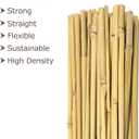 Cambaverd Bamboo Stakes for Plants, Natural Bamboo Plants Stakes 5 Feet, Garden Stakes for Climbing Plants Tomatoes, Beans, Potted Plants - 20Pcs Bamboo Poles (58in, Approx 5FT)