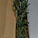 Waipfaru 8 Pcs Faux Greenery Stems, Olive Tree Branches for Vases, Artificial Olive Tree Fake Plants for Centerpieces Floral Arrangements Home Decor, 18 Inch