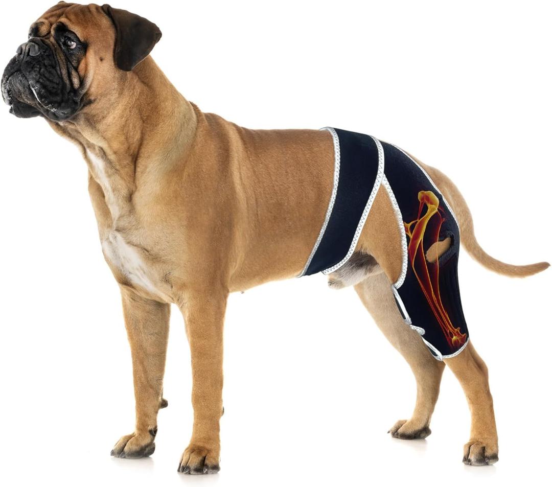 Dog Leg Brace for Back Leg ACL Tear, Dog Knee Brace for All Legs with Reflective Material, Dog Arthritis Brace to Relieve Arthritis Pain, Prevent Further Injury and Promote Postoperative Recovery M